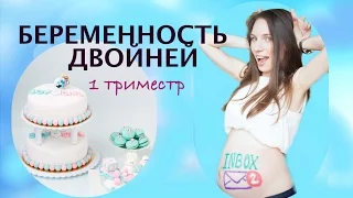 Моя беременность двойней  / 1 триместр беременности двойней