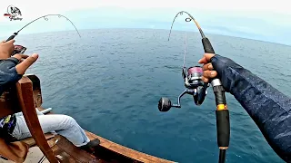 Strike..!!! Test Reel Shimano SW Stradic 6000 pg ||Langsung Amis di hajar ikan Babon.