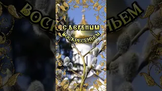 С Вербным Воскресеньем! 🙏 #открытки #вербноевоскресенье #пожелания