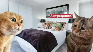 Счастье это выбор