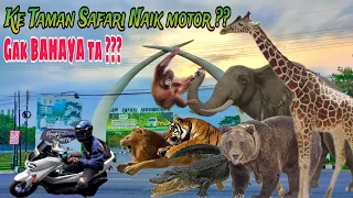 REVIEW LENGKAP TAMAN SAFARI PRIGEN PASURUAN JAWA TIMUR