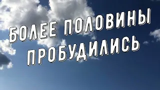 Мира из Высшего Совета Плеяд через Валери Доннер Более Половины Пробудились