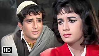 Ek Tha Gul | एक था गुल और एक थी बुलबुल | ab Jab Phool Khile(1965) | Shashi Kapoor, Nanda | Mohd Rafi