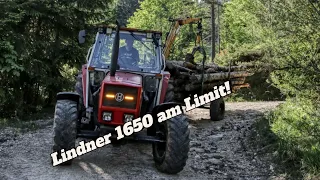 Holztransport mit Lindner1650 und Eigenbau Forstanhänger I Mikej Hof I Forst I Austria Forest