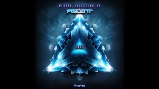 VA - Winter Selection By Ascent (Album Mix)