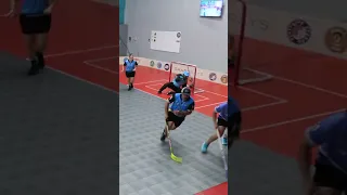 Goalie put the team and himself on his back