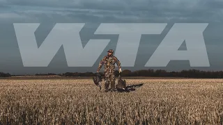 Duck and Goose Hunting - Saskatchewan, Canada