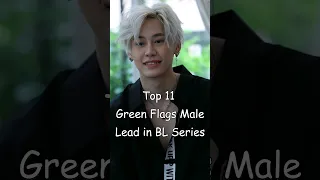 Top 11 Green Flags Male Lead in BL Series #blrama #blseriestowatch #blseries #bldrama