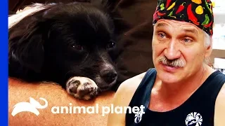 Dr. Jeff Helps Homeless Man Care For His Dog's Broken Paw | Dr. Jeff: Rocky Mountain Vet