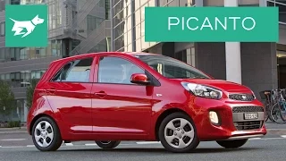 2017 Kia Picanto Review