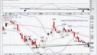 Stock Alert Video 02-21-2012