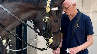 Candy-Coated Connection: A Veteran's Sweet Gesture at Horse Guard with Polo Mints"