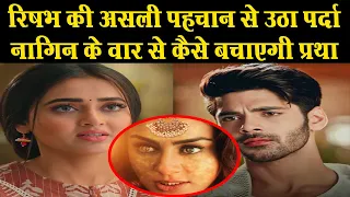 Naagin 6 : Rishabh ही है असली असुर, शेषनागिन के वार से अब Rishabh को कैसे बचाएगी  Pratha U NEWS