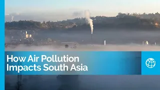 How Air Pollution Impacts South Asia: Four Countries, Four Stories