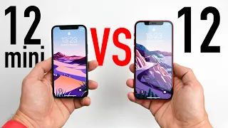 IPHONE 12 MINI vs IPHONE 12 : Lequel choisir ?