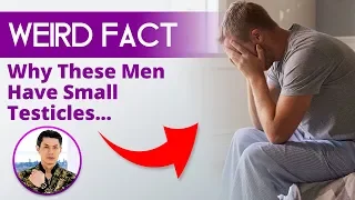 Why These Men Have Small Testicles - Weird Fact