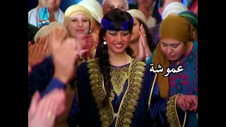 الفنان علوان الجبوري | عموشة | فيديو كليب