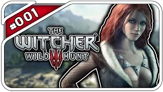 THE WITCHER  3: WILD HUNT #001 - IN ALLER RUHE! - Let's Play The Witcher 3 - Dhalucard