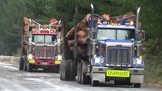 Off highway trucks of New Zealand