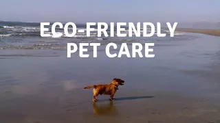 Eco-friendly pet care