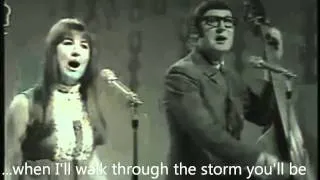 The Seekers - I'll never find another you (1968) Subtitled.mp4.wmv