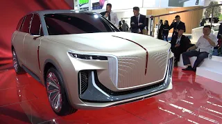 Hongqi E 115 SUV All Electric SUV 4K POV