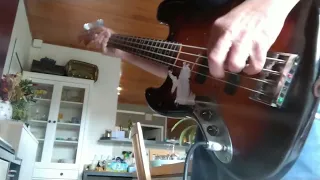 Tout contre nature (Skip The Use bass cover)