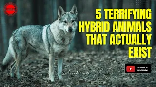 5 Terrifying Hybrid Animals That Actually Exist - Beware of These Dangerous Creatures!