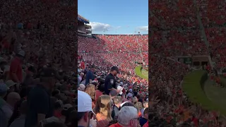 The wave has arrived in Jordan-Hare #wareagle #auburntigers #auburnfootball