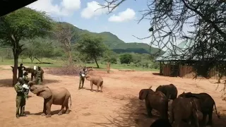 Reteti Elephant Sanctuary- Namunyak Wildlife Conservancy