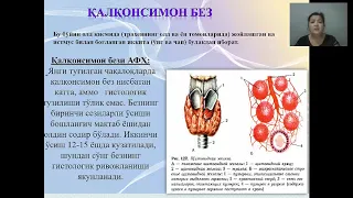 Болаларда эндокрин тизимининг анатомо физиологик хусусиятлари, касалликларининг