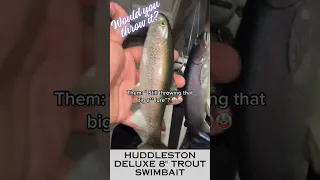 Fishing the Huddleston Deluxe 8" for big bass #fishing #fish #bassfishing #swimbait #fishingvideo