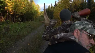 Beau buck orignal qui vient sur le call à notre premier matin dans les Chic-Chocs!! Partie 1