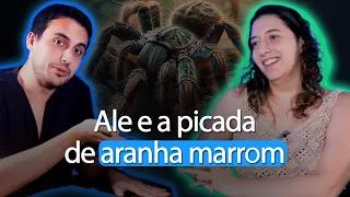 Ale e a picada de Aranha Marrom