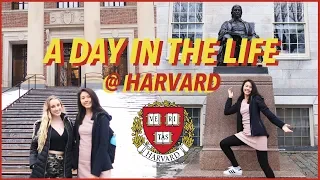 🏫A Day in the Life at Harvard University (+ Campus Tour!) | Katie Tracy