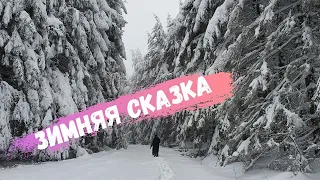 ALIDA life's stream пробный с телефона 2. часть/ Зимняя сказка/ Наша жизнь в Германии