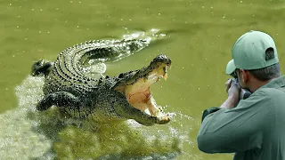 Hunt the strongest and oldest reptile on the planet (The crocodile)