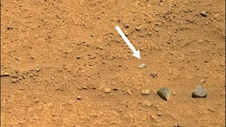 MARS MISSION PERSEVERANCE ROVER: A rock that differs from rest of  rocks with white spots on surface