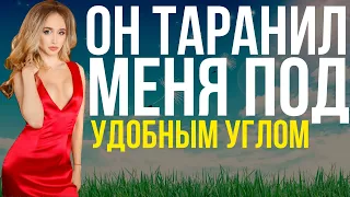 Узнали друг друга / Похвалила меня / Логичный ход / Мир рассказов