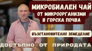 Микробиален чай от горска почва - епизод 5