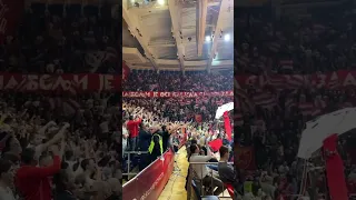 Zvezda - Zalgiris atmosphere in arena #euroleague