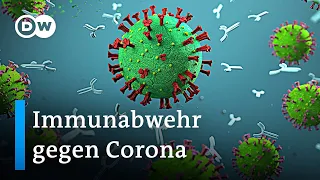 Kann ein starkes Immunsystem im Kampf gegen die 4. Corona-Welle helfen? | DW Nachrichten