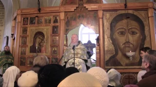 Дмитрий Смирнов Проповедь на Вход Господень в Иерусалим  Вербное воскресенье (2012)