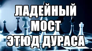 Ладейный мост. Шахматный этюд Олдржиха Дураса. Шаховы листы, 1903. Этюды шахматы. Решение задач.
