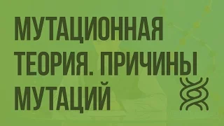 Мутационная теория. Причины мутаций. Видеоурок по биологии 10 класс