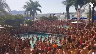 Full madness when 'Great Spirit' by Armin van Buuren and Vini Vici hits the pool!