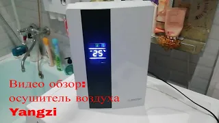 Видео обзор: осушитель воздуха Yangzi