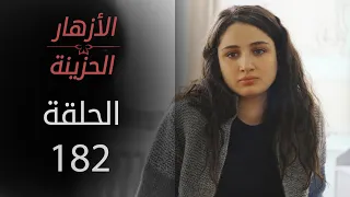 مسلسل الأزهار الحزينة | الحلقة 182 - الموسم الثاني