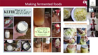 Beginners guide to fermentation - Liam Walsh