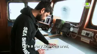 Whale Wars S07E02 Fight to the Death